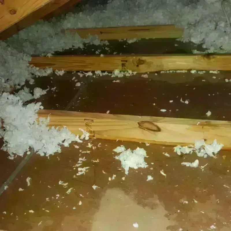 Attic Water Damage in Polk County, WI