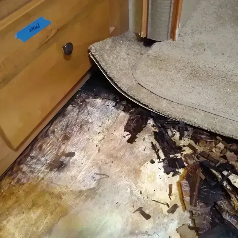 Wood Floor Water Damage in Polk County, WI